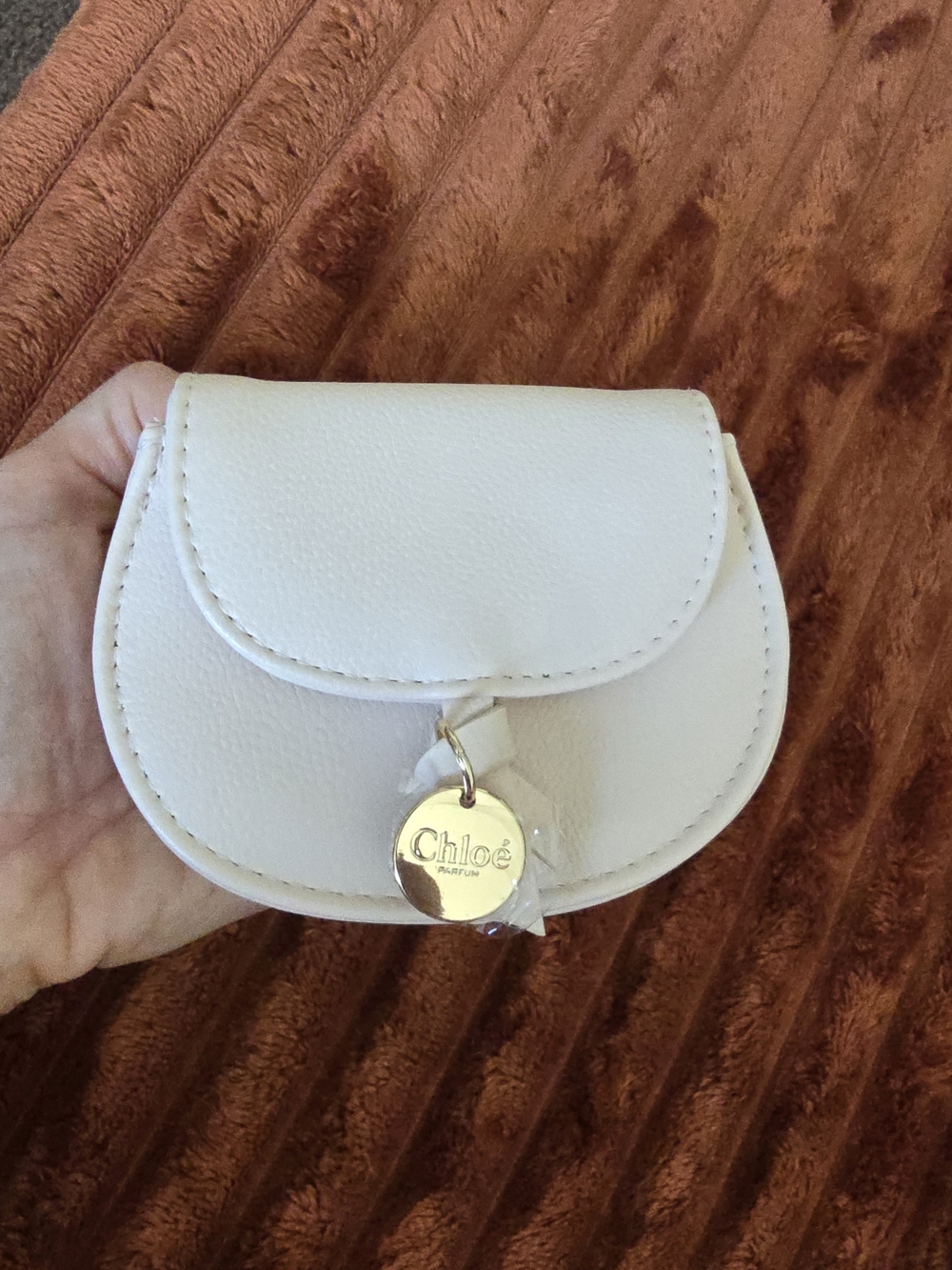 Chloé Light Pink Leather Small Coin Pouch
